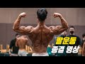 네추럴로 팔두께 46cm 만드는 팔운동 끝판왕 루틴