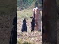 SAM and CAITRIONA on the OUTLANDER Season 7 set! 😍 #outlander #shorts #scotland