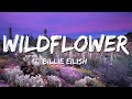 Billie Eilish WILDFLOWER Lyrics