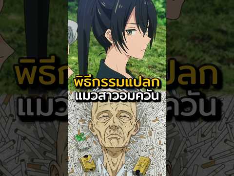 พิธีกรรมแปลกๆของยานิเนโกะ | Yani Neko  #anime #อนิเมะ