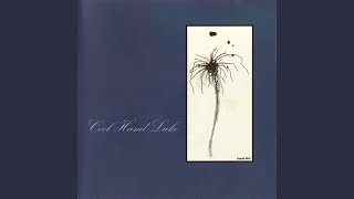 We've Only Just Begin