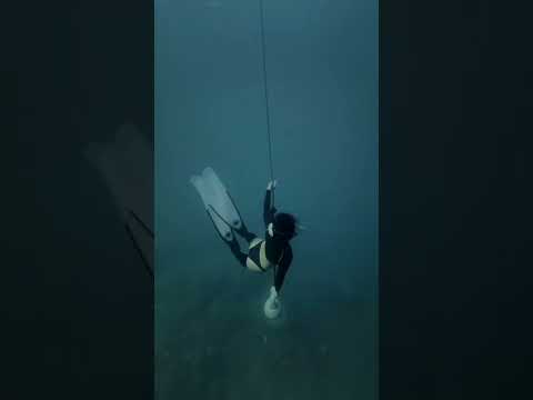 Line Training with Apnea Philippines Dumaguete #underwaterlife #apnea #apneaphilippines #freedive