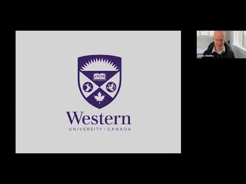 Complexity Theory in Research: Why and how to adopt a systems perspective