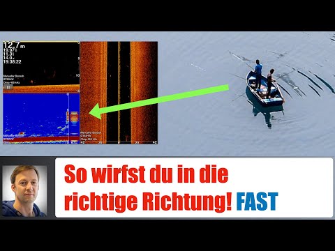 ★★★★★ Echolot besser interpretieren: So weißt du, wo du auswerfen musst (2D- und DownSonar) 🎣