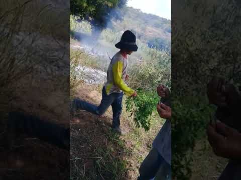 queimando uma cabaça de Exu