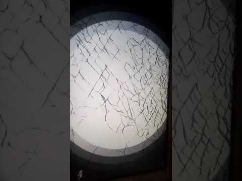 JHEO CHAVOSO E MC PAULINHO ZN FEAT. MC RICK