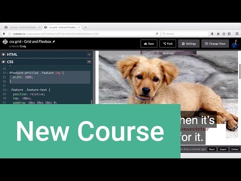Vue js Tutorial Beginner to Front End Developer