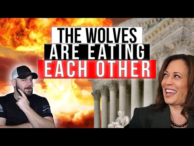 Far Left MERCILESSLY NUKES Kamala Harris… As Her Allies Cry Racist At DEMOCRATS For Overlooking Her
