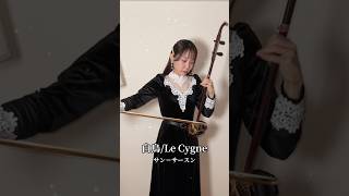 Download lagu チェロの名曲を二胡で✨サンサーンス『白鳥』 mp3