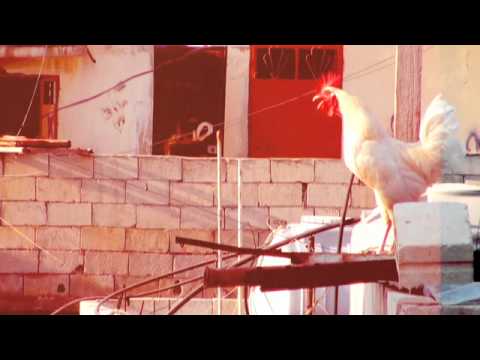 A BEIRUT MINUTE feat Edd Fareeq l'Atrash, Yaseen iVoice, Malikah, Ram6 Hamorabi