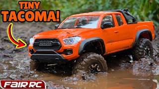 Fair RC are 'Crushing' It!! - FCX24M Orange Crush Tacoma