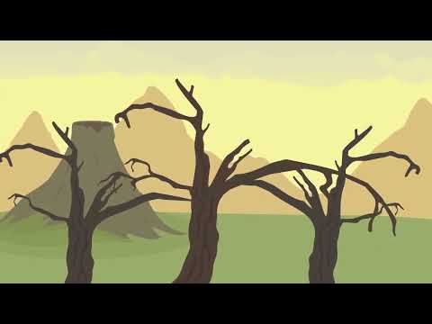 Die Bedeutung des Feuers einfach erklärt | sofatutor