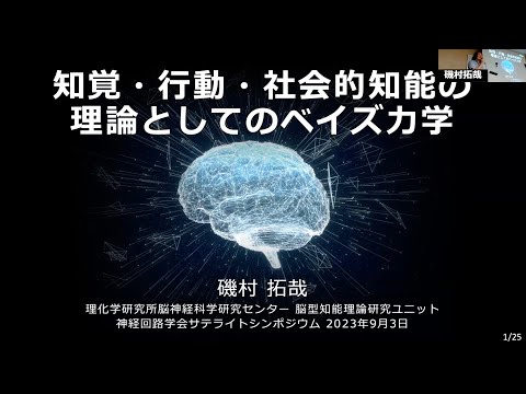 ハネス・アルフヴェン - 定義