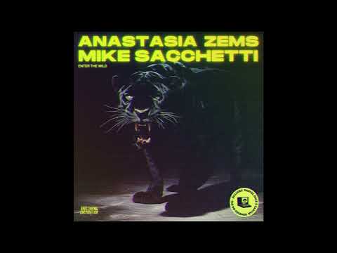 FEINSTOFF PREMIERE: Anastasia Zems & Mike Sacchetti - The World's A Dream (Zaatar Remix)