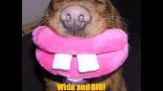 Smile-with westlife song