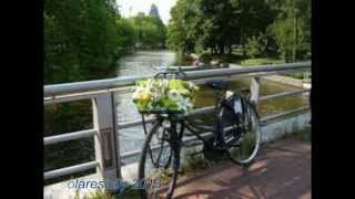 In Bicicletta  &quot;Riccardo Cocciante&quot;