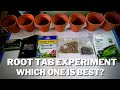 Best Root Tabs For Planted Aquarium