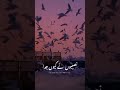 Khuda Ne Mujhe Mila Diya Tujhse Pakistani New Status