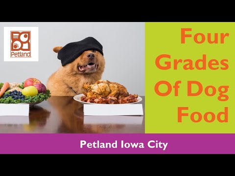 Four Grades Of Dog Food