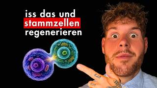 DIESES eine Lebensmittel regeneriert Stammzellen & HUNGERT KREBS AUS