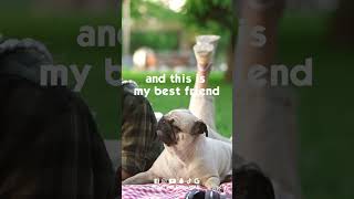 OSC Pet Shop in UAE