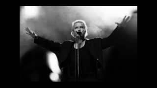 Bernard Lavilliers - Minha Selva