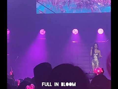 Lips on Lips by Tiffany Young (Fan Cam)