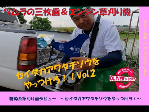園芸 オオセイタカアワダチソウ、オオアキノキリンソウ、オオセイタカアワダチソウ
