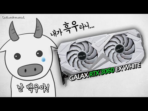 순.백.의.정.숙.성. GALAX RTX 3060 EX WHITE OC