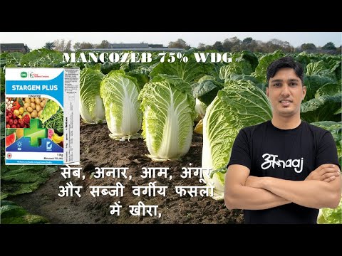 Stargem 45 Fungicide, Mancozeb 75%Wp