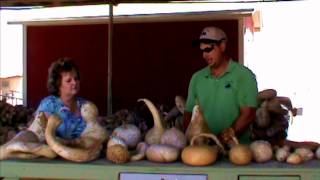 Names & Varieties of Gourds ~ Featuring Waylon Wuertz & Miriam Joy