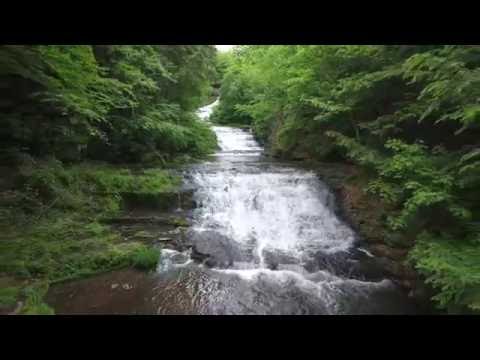 youtube embeded image