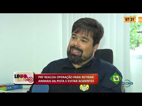 LINHA DE FOGO 27 01 2020 PRF REALIZA OPERAÇíO PARA RETIRAR ANIMAIS DA PISTA E EVITAR ACIDENTES