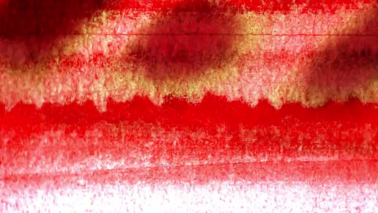 Tourist - EST (Official Visualizer) - YouTube