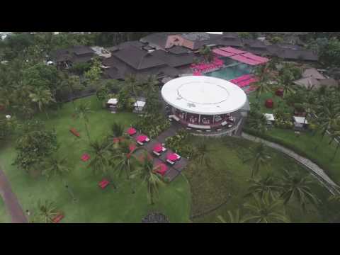 Glenn Alinskie, Chelsea Olivia & Nastusha Olivia Alinskie | Family Films by Triangle Picture