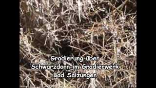 preview picture of video 'P1060378 Gradierung über Schwarzdorn im Gradierwerk Bad Salzungen   Torsten Sparmann, Dresden'