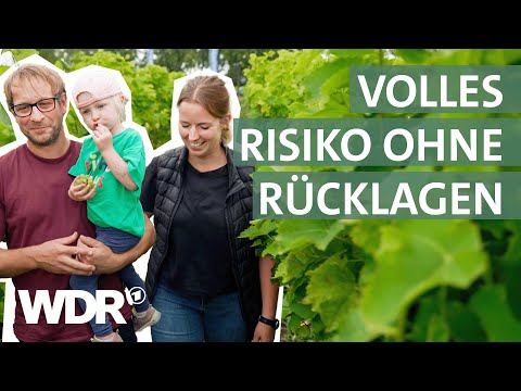 Weinanbau am Niederrhein: Eine viertel Millionen für ein Experiment? | Unsere eigene Farm | WDR