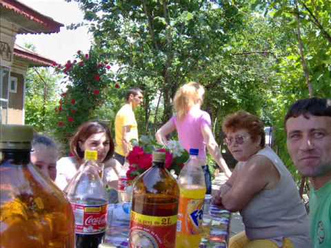 NASU CONASU DIN STEJARU