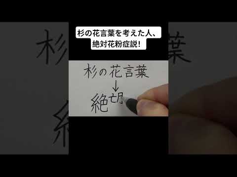 youtube-ガジェ・趣味記事2026/03/10 15:43:05