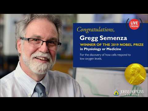 Gregg Semenza 2019 Nobel Prize Winner | Press Conference