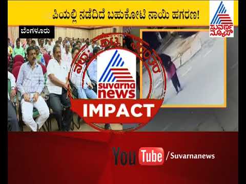 Suvarna Big Impact | Finally BBMP  DIscussed About Stray Dog's | Suvarna News