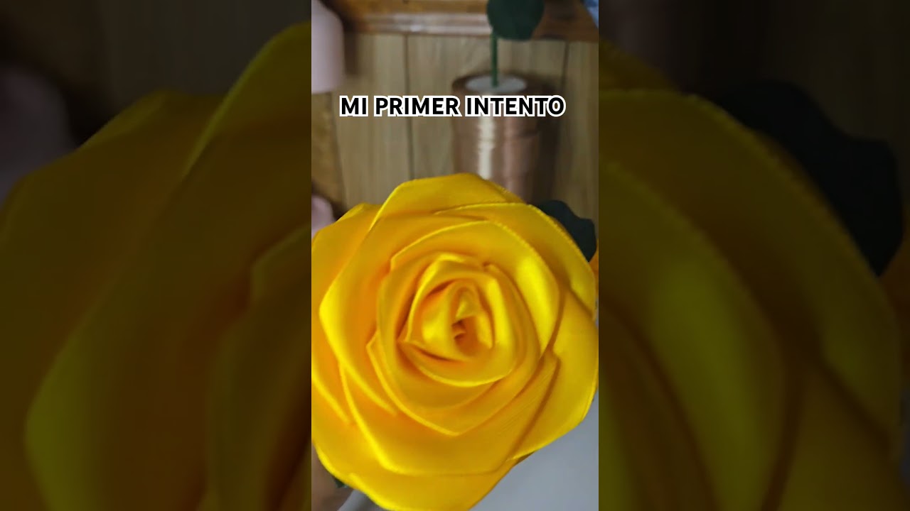 Rosas eternas #ribbon #flowers