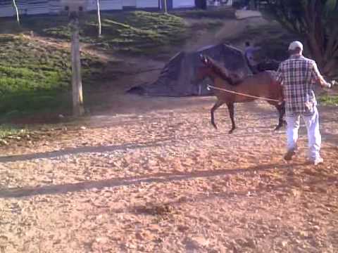 CRIADERO TAHAMI - Eloisa de Tahamí