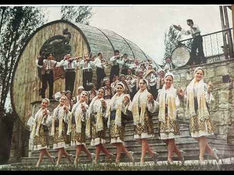 1973: "Dimineața în sat". Orchestra FLUIERAȘ.