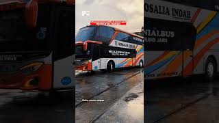 Download lagu Harga Tiket Sleeper Bus Rosalia Indah Terbaru mp3 Download lagu Harga Tiket Sleeper Bus Rosalia Indah Terbaru mp3
