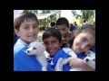 Day Madness World Animal Day