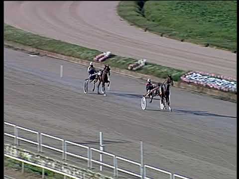 Trotto 12/11/2019 - prova di qualifica