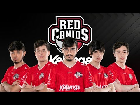 Assistindo a RED Canids na SoloQ EUW - Pro Queue