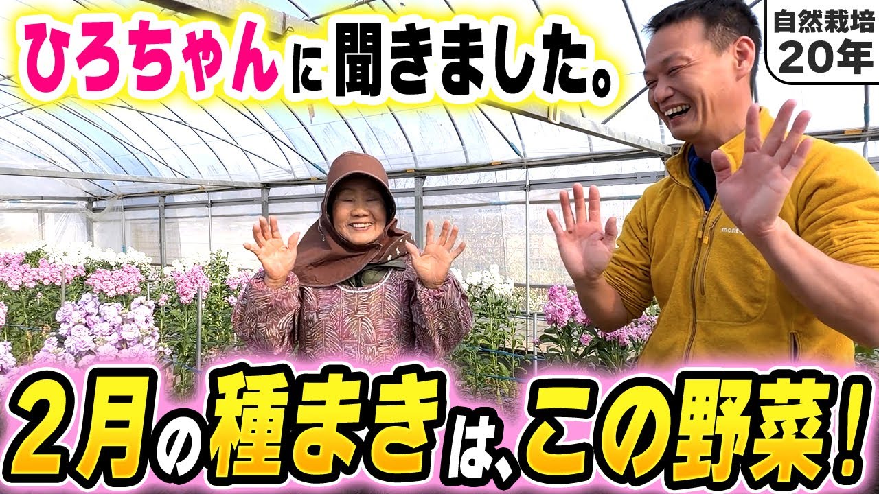 温暖地の2月種まきと野菜作りのコツ