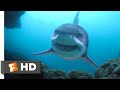 Deep Blue Sea 3 (2020) - Great White Shark Attack Scene (1/10) | Movieclips